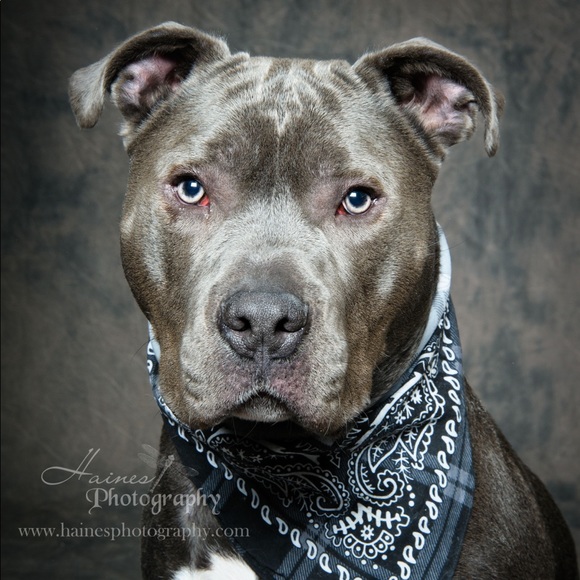 Meet your Posher, Alana - Picture 15 of 16